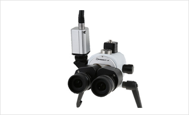 Stereo Microscope